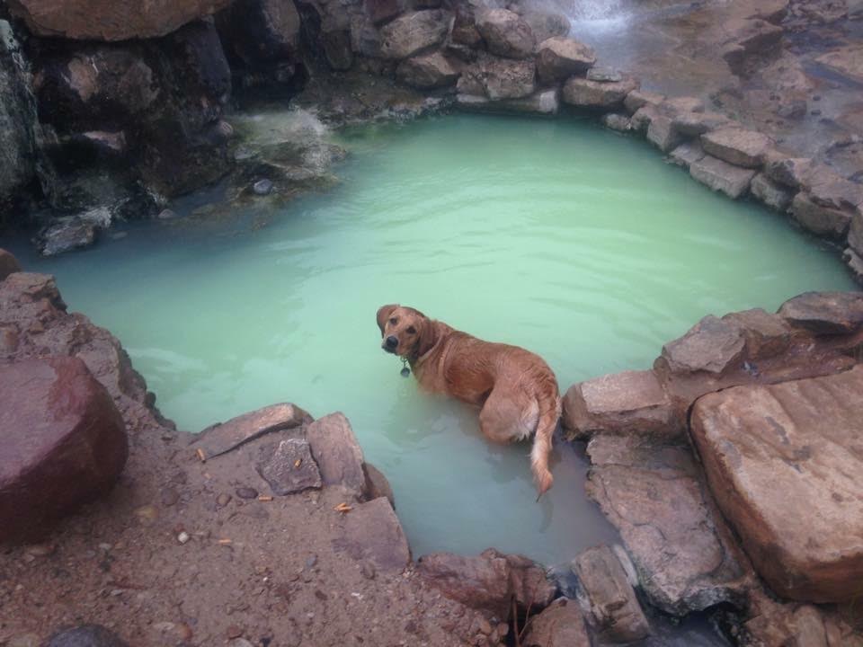 Hiking to Diamond Fork Hot Springs in Winter