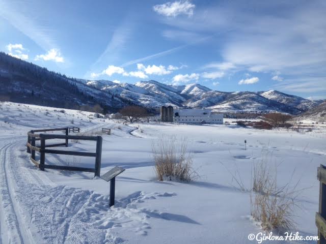 Cross Country Skiing at White Pine Touring, Park City