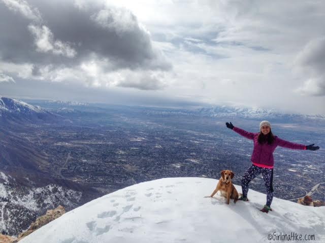 Hiking Mt. Olympus, Hiking in Utah with Dogs, Utah peak bagging