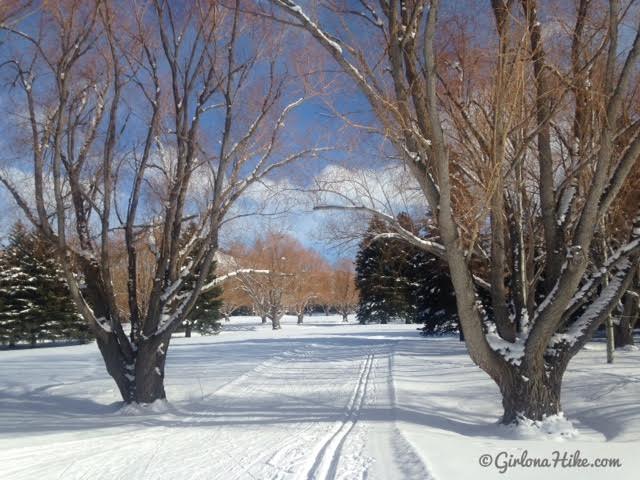 Cross Country Skiing at White Pine Touring, Park City