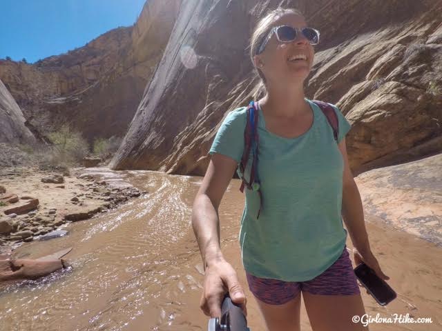 Hiking the Lower Hackberry Canyon Narrows, Cottonwood Road Scenic Byway, Grand Staircase-Escalante National Monument