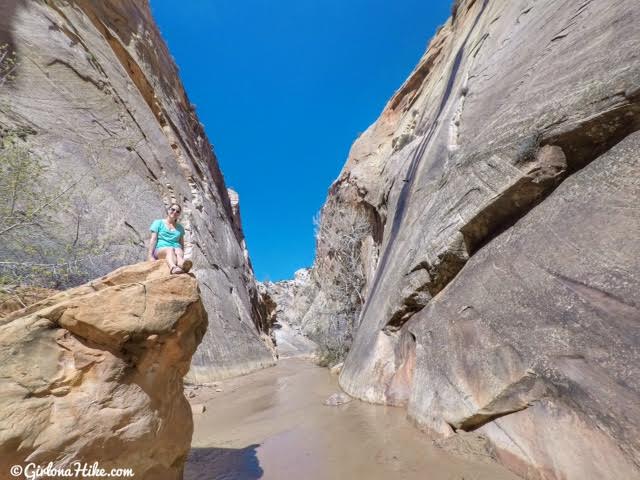 Hiking the Lower Hackberry Canyon Narrows, Cottonwood Road Scenic Byway, Grand Staircase-Escalante National Monument