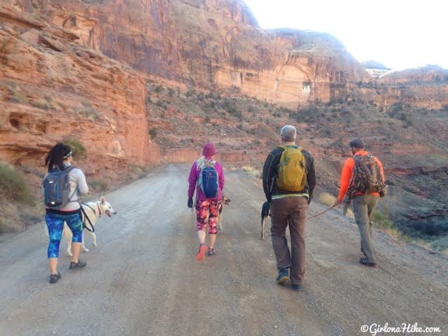 Hiking the Amasa Back Trail, Moab, Utah, Hiking in Utah with Dogs, Hiking in Moab with Dogs