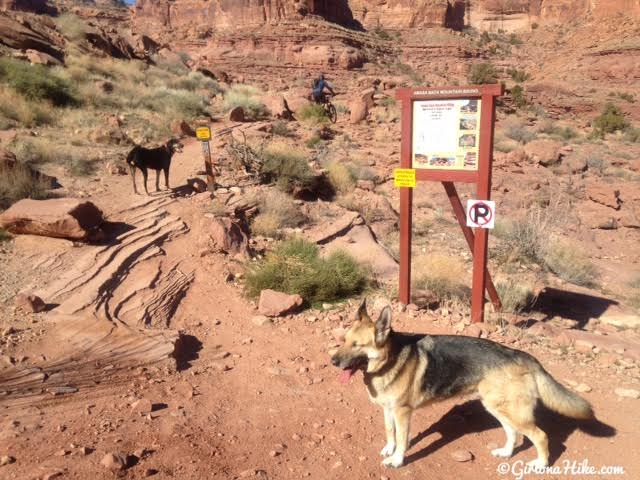 Hiking the Amasa Back Trail, Moab, Utah, Hiking in Utah with Dogs, Hiking in Moab with Dogs