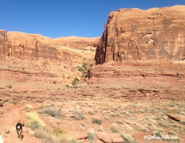 Hiking the Amasa Back Trail, Moab, Utah, Hiking in Utah with Dogs, Hiking in Moab with Dogs