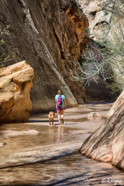 Hiking the Lower Hackberry Canyon Narrows, Cottonwood Road Scenic Byway, Grand Staircase-Escalante National Monument