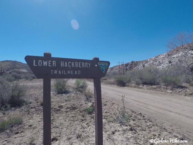 Hiking the Lower Hackberry Canyon Narrows, Cottonwood Road Scenic Byway, Grand Staircase-Escalante National Monument