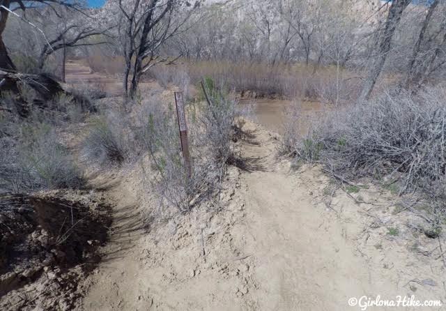 Hiking the Lower Hackberry Canyon Narrows, Cottonwood Road Scenic Byway, Grand Staircase-Escalante National Monument