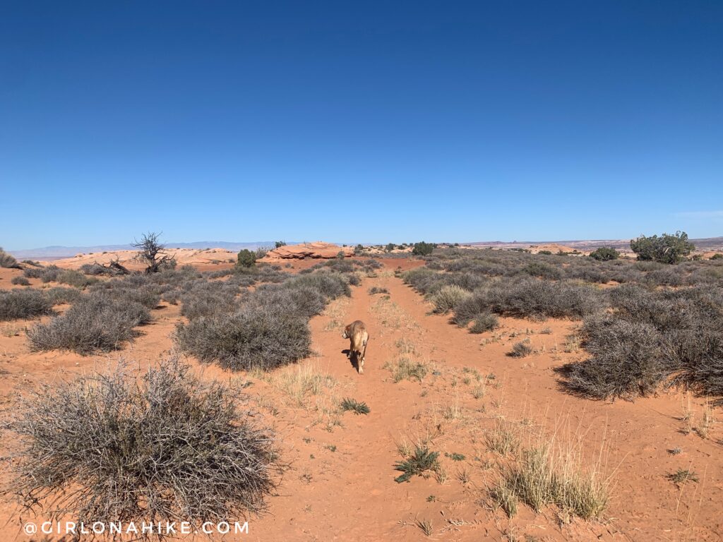 Hiking to Five Hole Arch Colonnade Arch