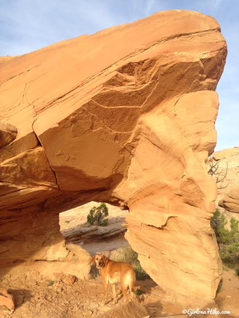 Natural arch near Hiking to Five Hole (Colonnade) Arch