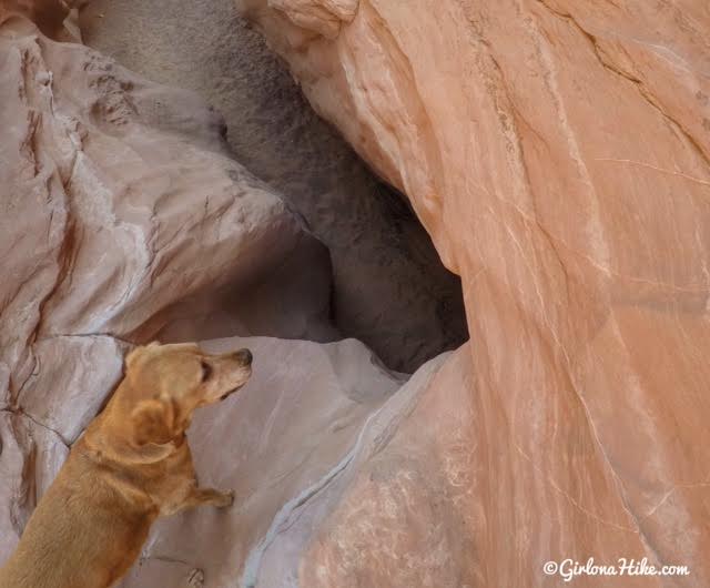 Hiking the Moonshine Wash Slot Canyon San Rafael Swell