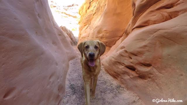 Hiking the Moonshine Wash Slot Canyon San Rafael Swell