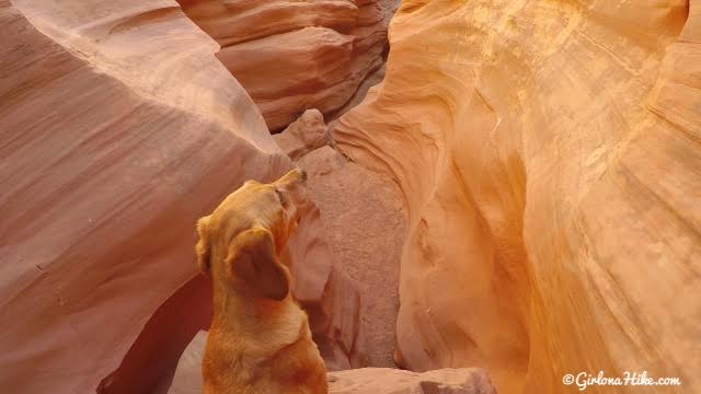 Hiking the Moonshine Wash Slot Canyon San Rafael Swell