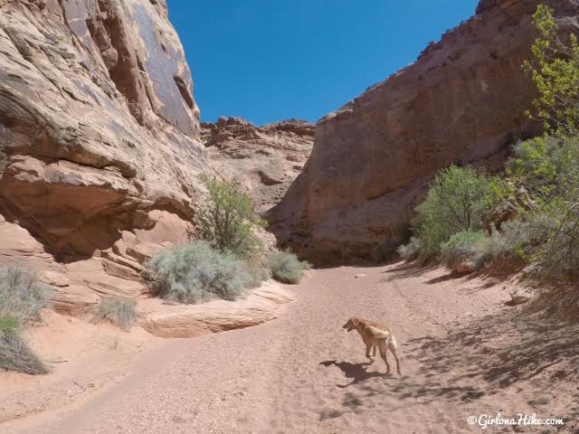 Hiking the Moonshine Wash Slot Canyon San Rafael Swell