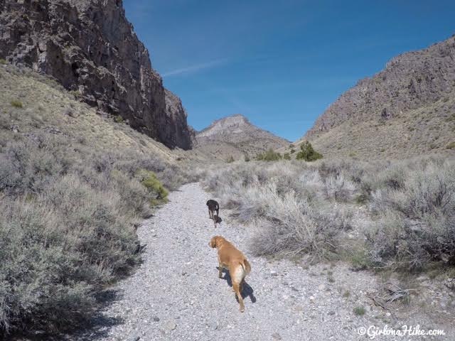 Hiking Notch Peak, Delta, Utah