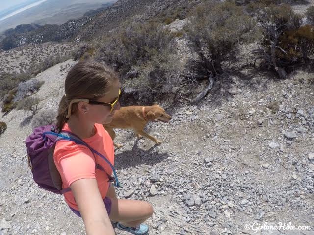 Hiking Notch Peak, Delta, Utah