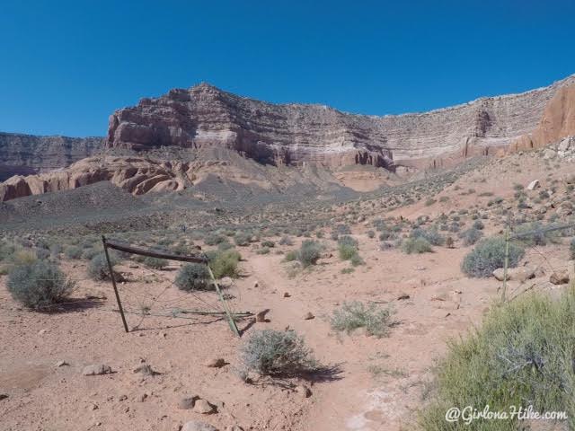 Backpacking to Reflection Canyon, Lake Powell, Utah