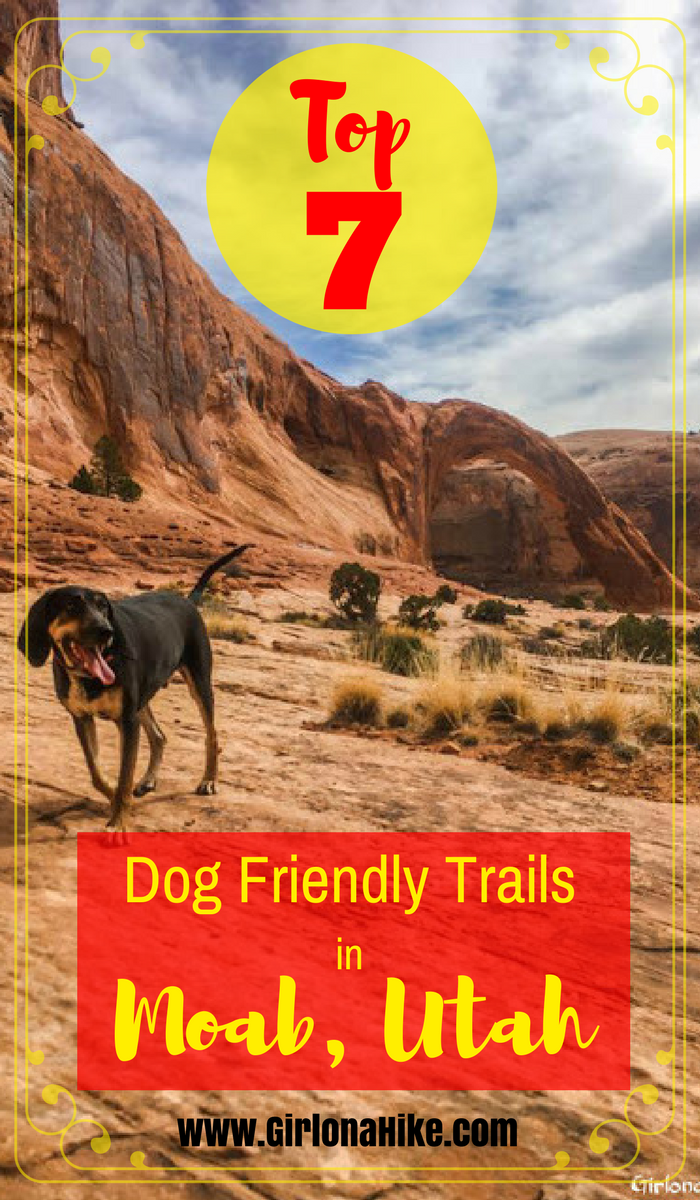 are dogs allowed in moab national park