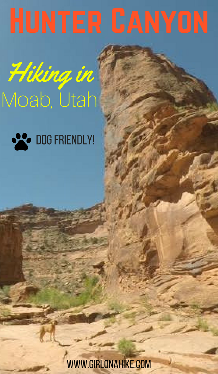Hiking in Hunter Canyon, Moab, Hiking in Moab with Dogs