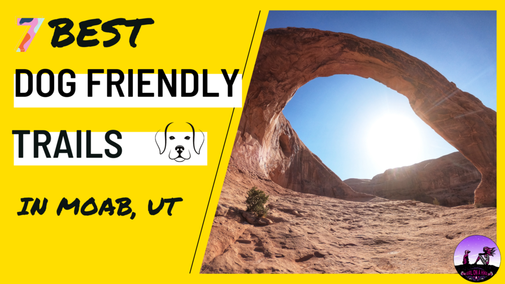  7 Best Dog Friendly Trails in Moab, Utah!