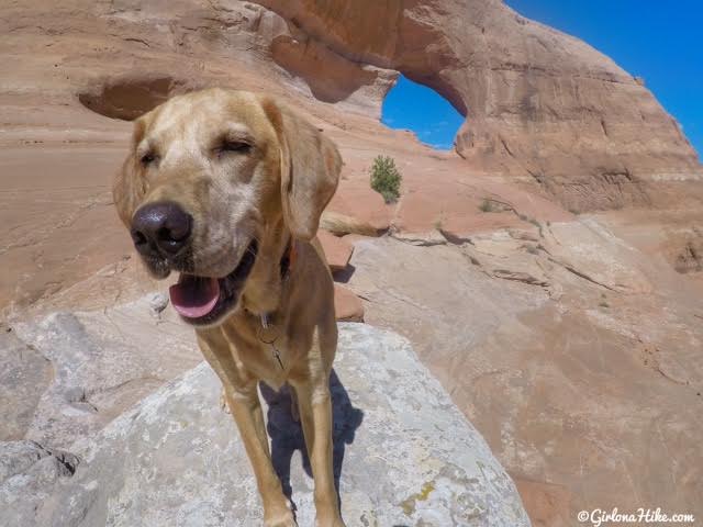 Looking Glass Rock & Arch, Moab, Arches in Utah, Hiking in Utah with Dogs