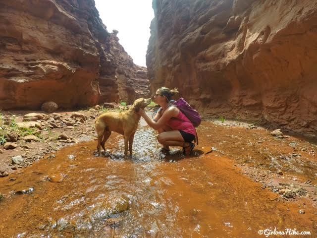 Hiking Mary Jane Slot Canyon, Moab, Hiking in Moab with Dogs, Slot Canyons in Moab