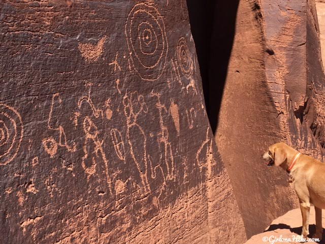 Jug Handle Arch & Petroglyphs