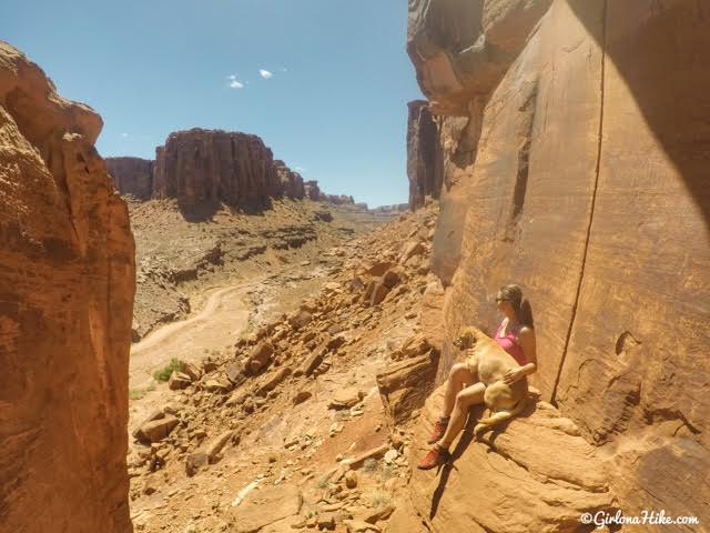 Jug Handle Arch & Petroglyphs