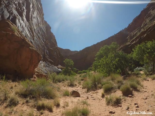 Hiking in Hunter Canyon, Moab