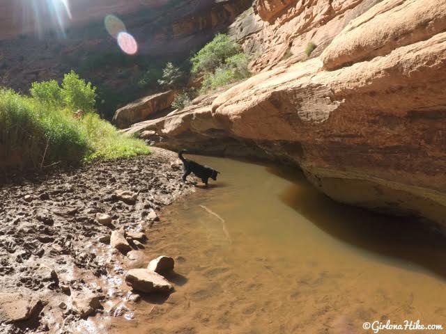 Hiking in Hunter Canyon, Moab