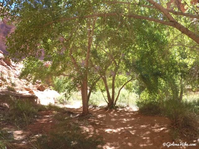 Hiking in Hunter Canyon, Moab