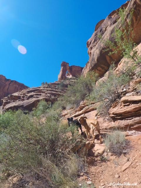 Hiking in Hunter Canyon, Moab