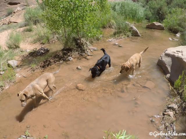 Hiking in Hunter Canyon, Moab