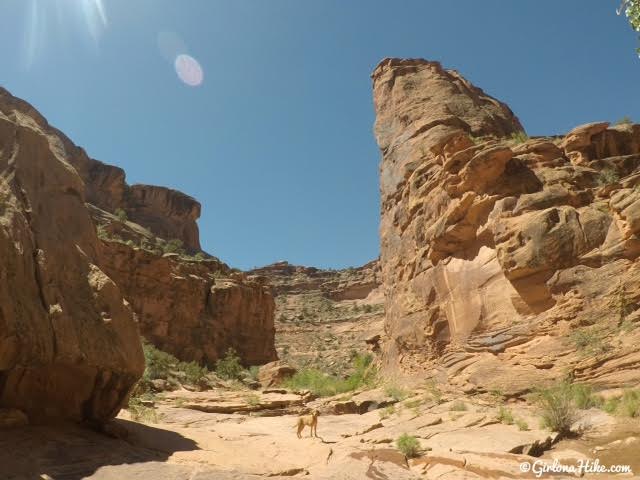 Hiking in Hunter Canyon, Moab