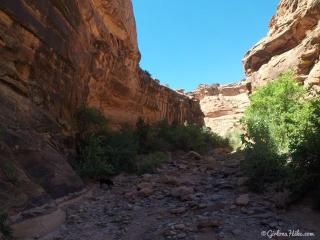 Hiking in Hunter Canyon, Moab