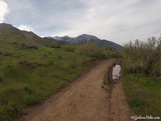 Hiking the West Ridge of Grandeur Peak, Hiking in Utah with Dogs