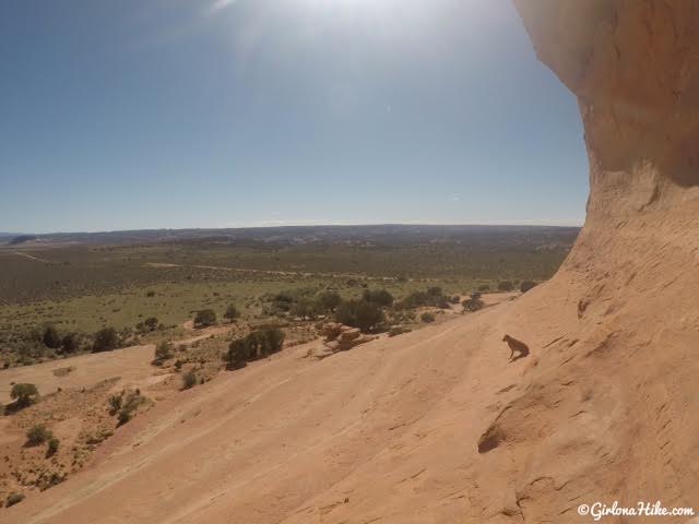 Looking Glass Arch, Moab, Arches in Utah, Hiking in Utah with Dogs