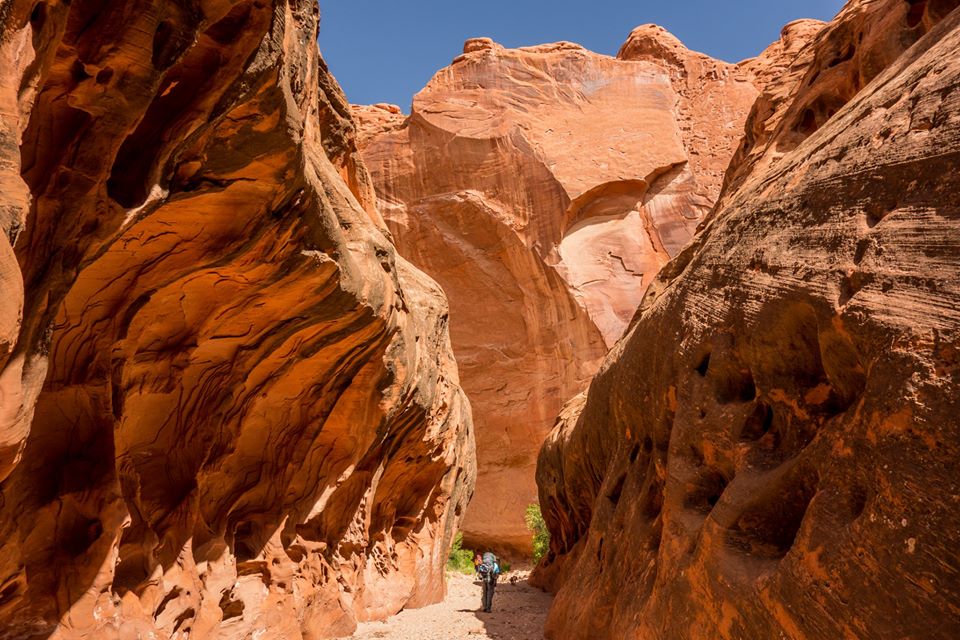 Backpacking Little Death Hollow/Wolverine Loop, Escalante, Utah,