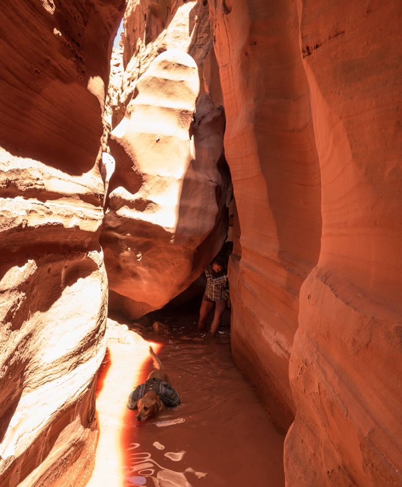 Backpacking Little Death Hollow/Wolverine Loop, Escalante, Utah,