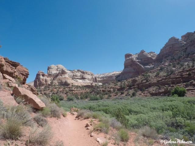 Lower Calf Creek Falls, Escalante, Utah