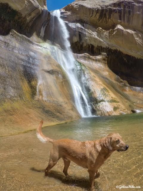 Lower Calf Creek Falls, Escalante, Utah