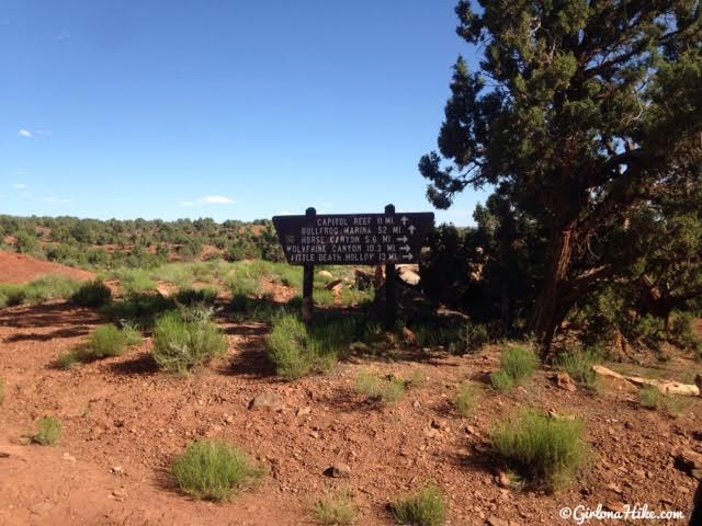 Backpacking Little Death Hollow/Wolverine Loop, Escalante, Utah,