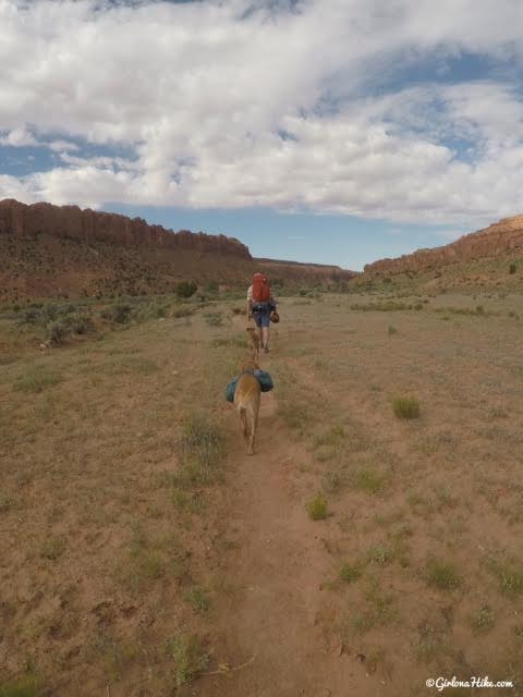 Backpacking Little Death Hollow/Wolverine Loop, Escalante, Utah,