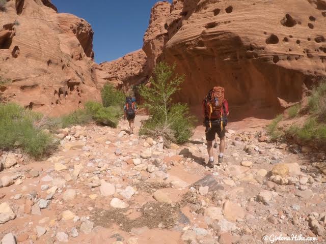 Backpacking Little Death Hollow/Wolverine Loop, Escalante, Utah,