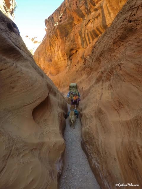 Backpacking Little Death Hollow/Wolverine Loop, Escalante, Utah,