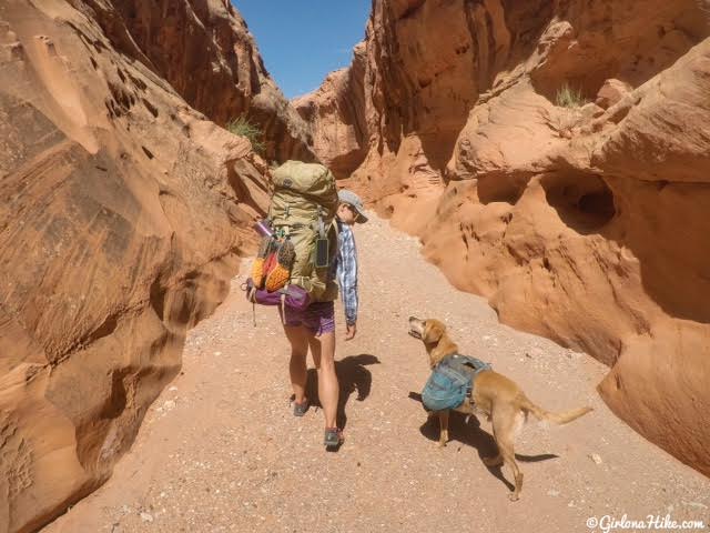 Backpacking Little Death Hollow/Wolverine Loop, Escalante, Utah,