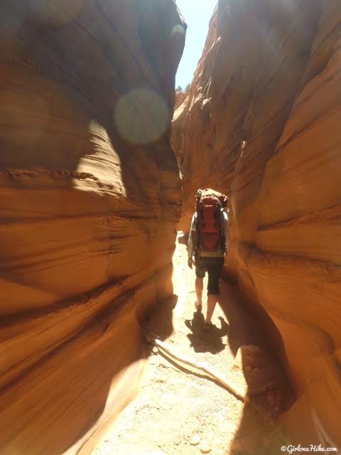 Backpacking Little Death Hollow/Wolverine Loop, Escalante, Utah,