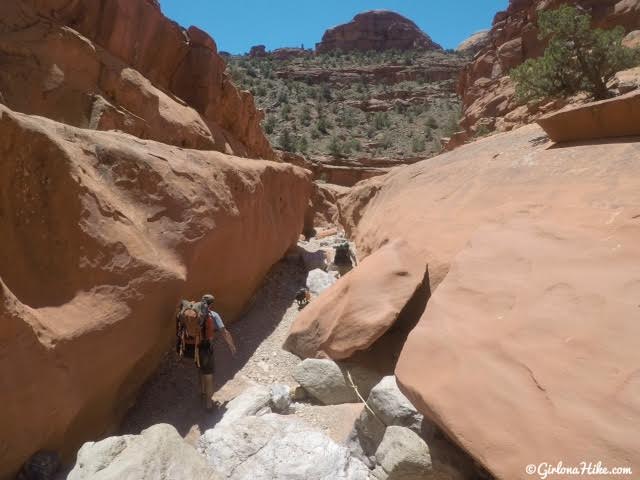 Backpacking Little Death Hollow/Wolverine Loop, Escalante, Utah,