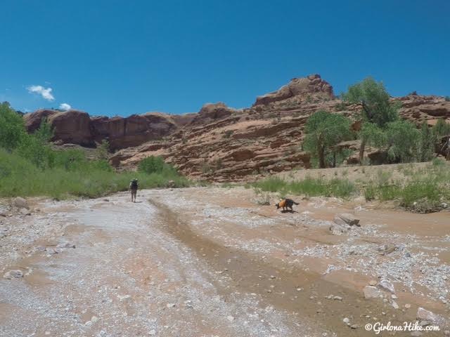 Backpacking Little Death Hollow/Wolverine Loop, Escalante, Utah,