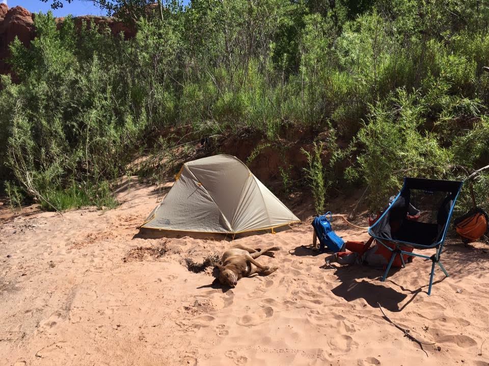 Backpacking Little Death Hollow/Wolverine Loop, Escalante, Utah,